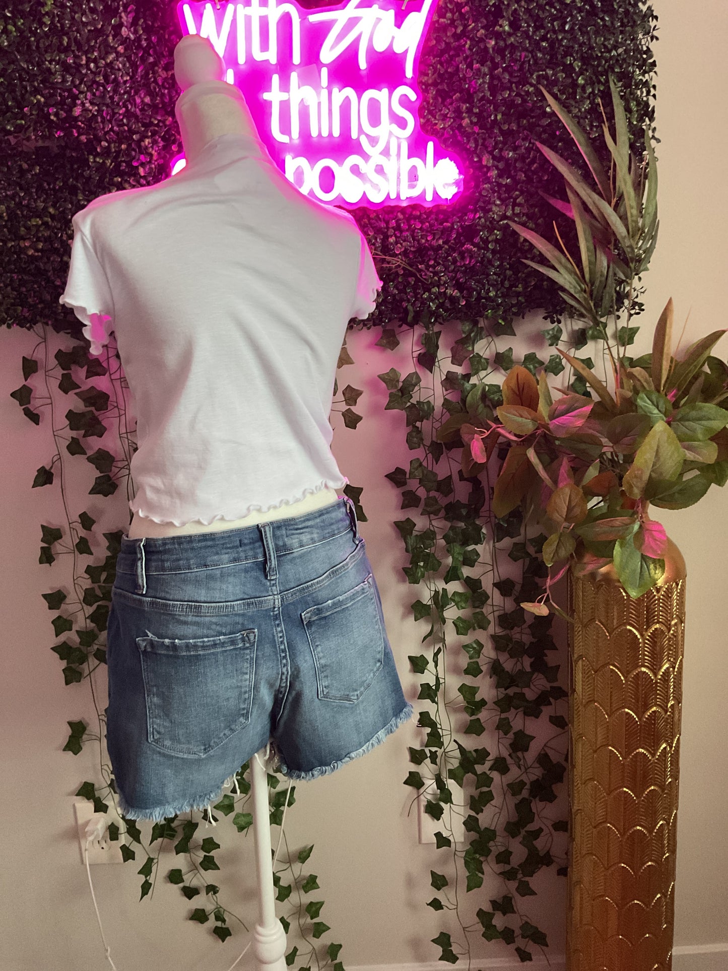 Barefoot Breeze Shorts