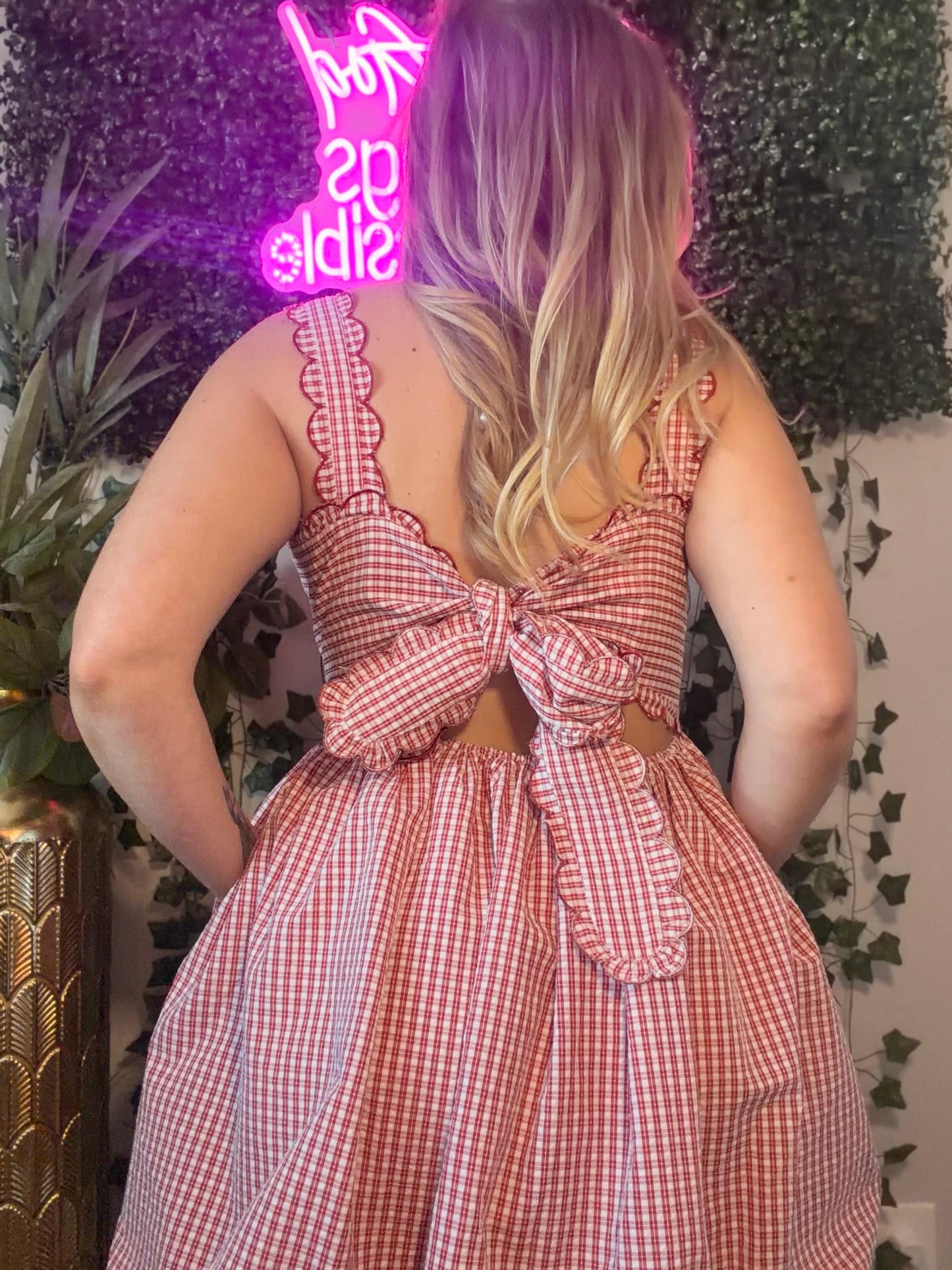 Forget The Picnic Dress