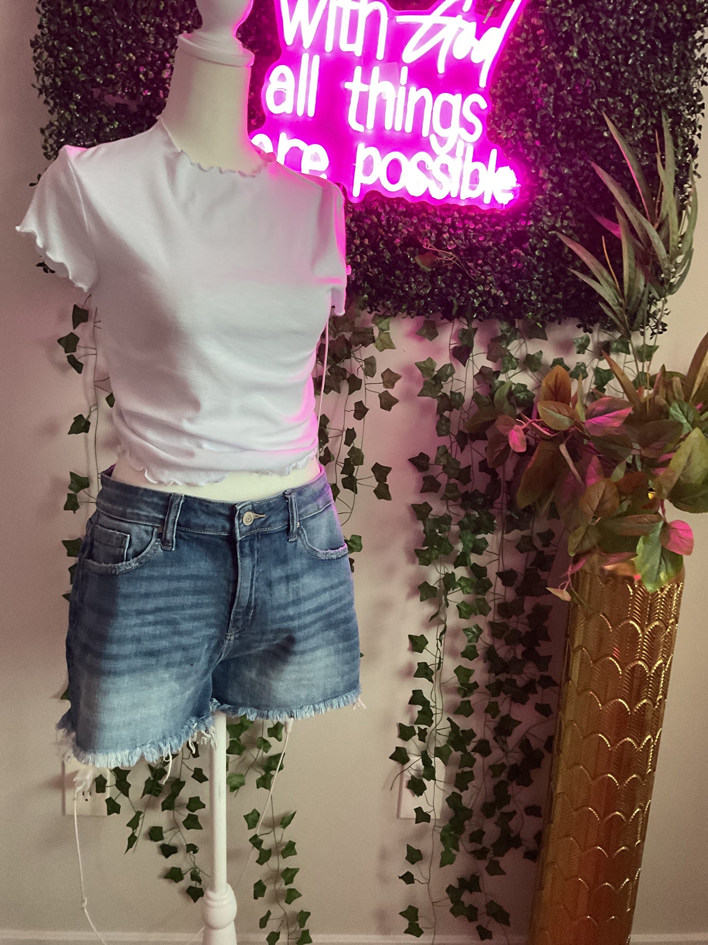 Barefoot Breeze Shorts