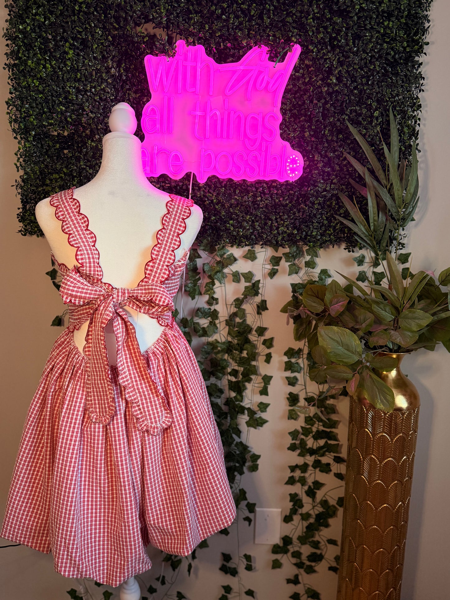 Backroad Picnic Dress