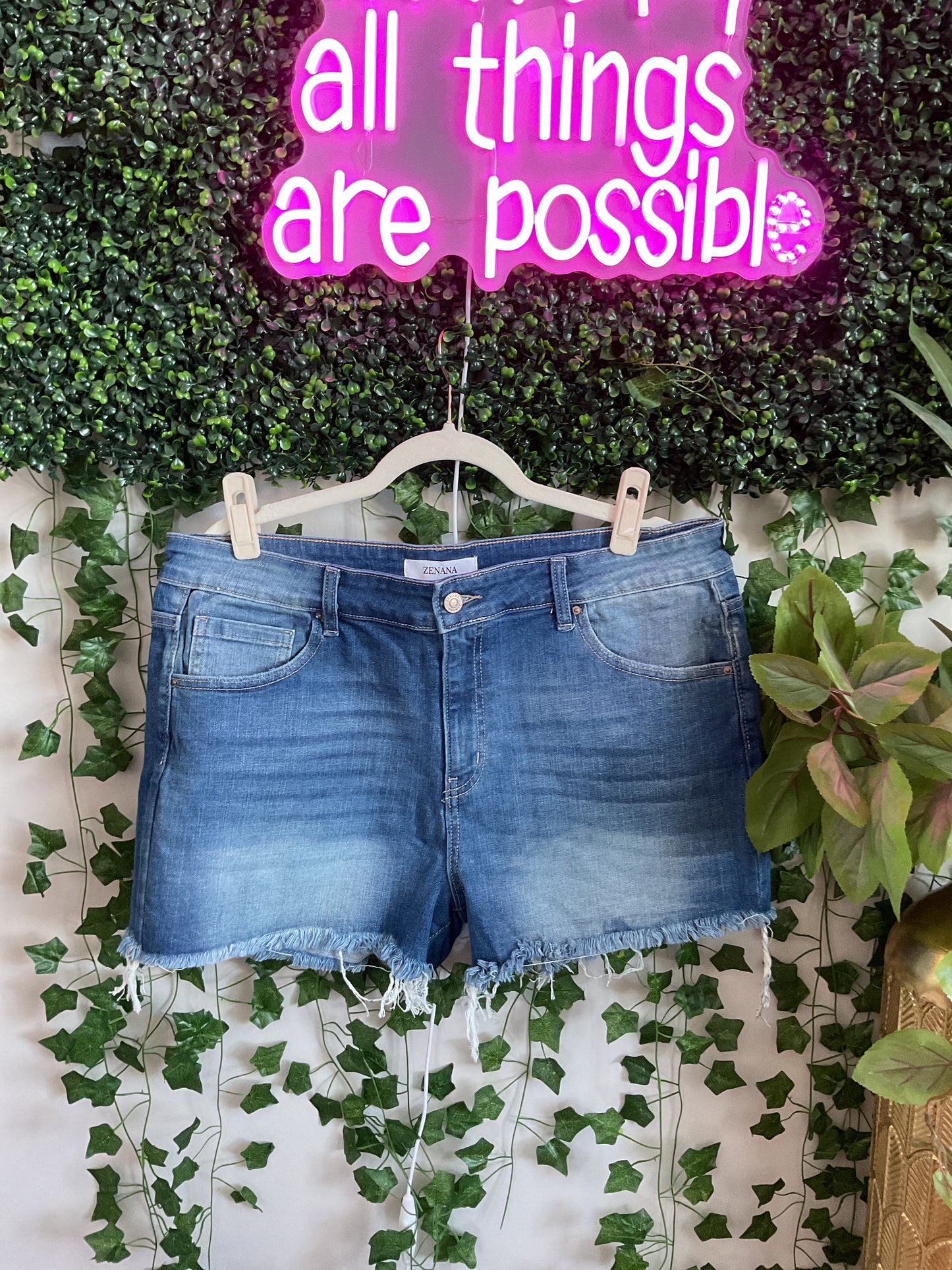 Barefoot Breeze Shorts Curvy