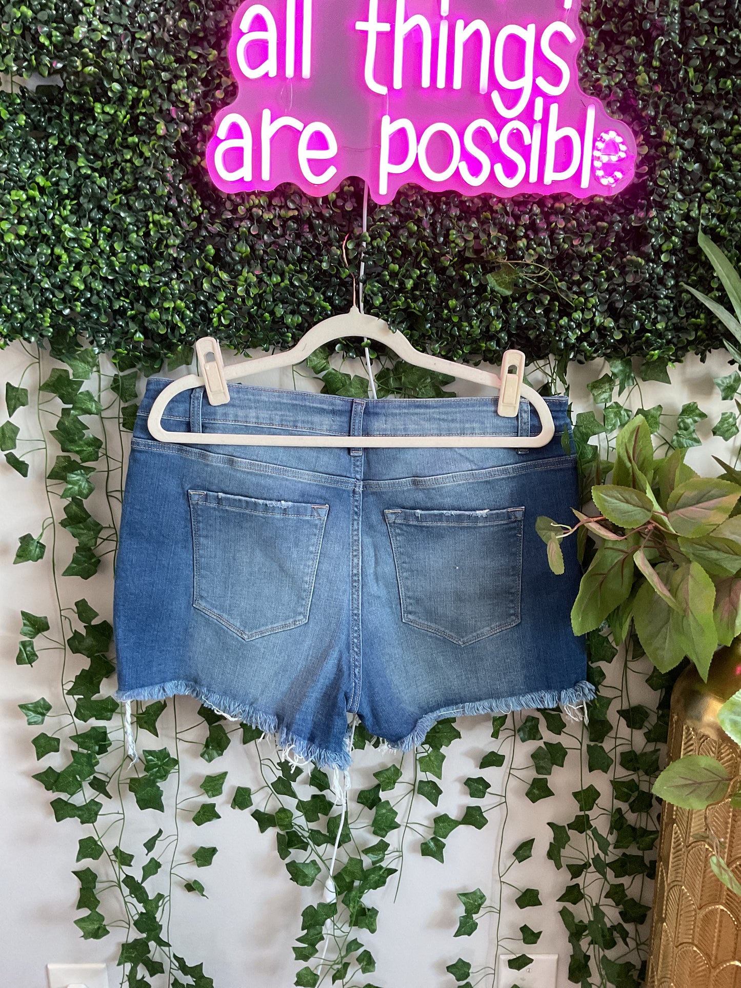 Barefoot Breeze Shorts Curvy