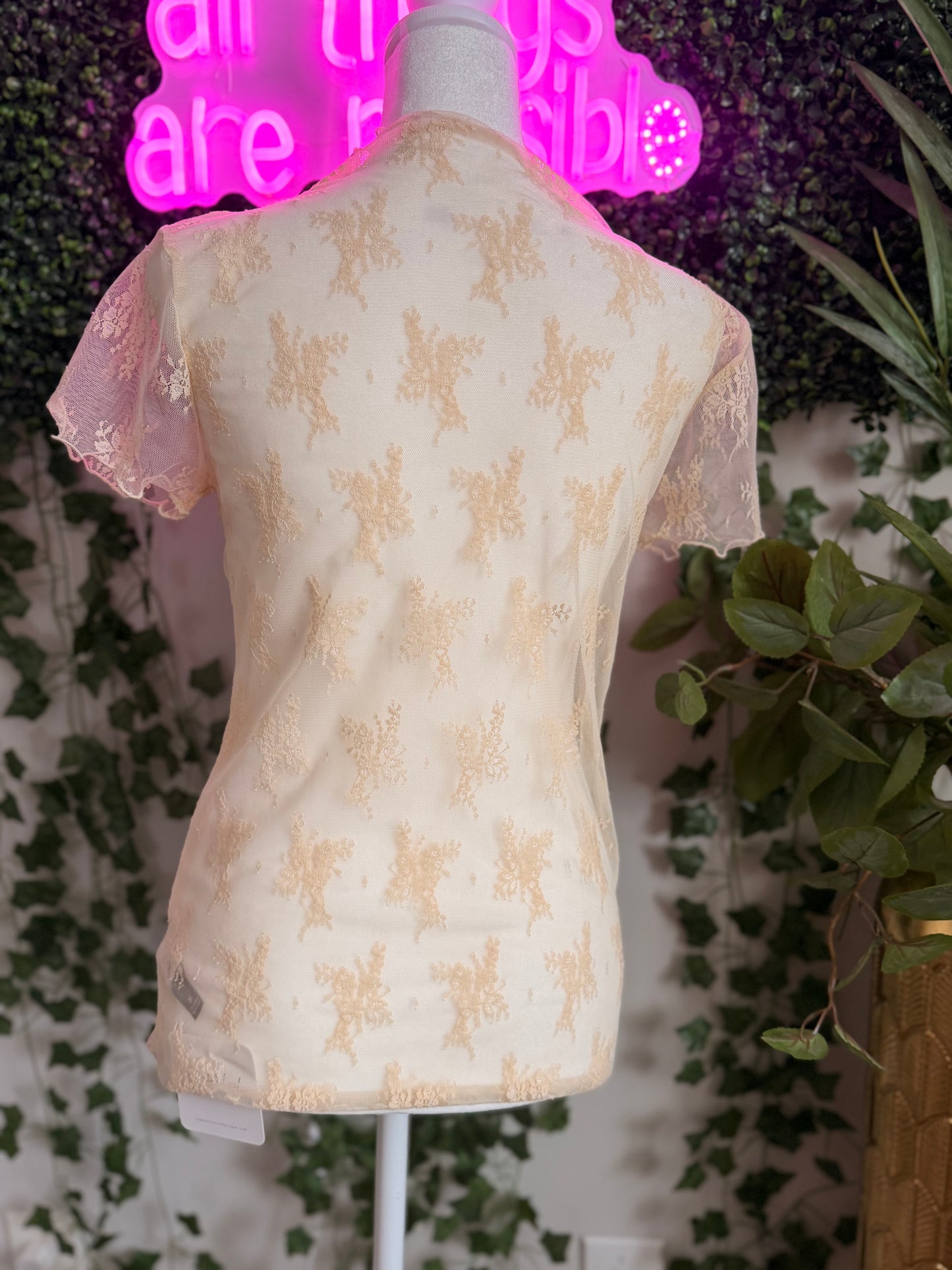 Just Looking Lace Top Nude