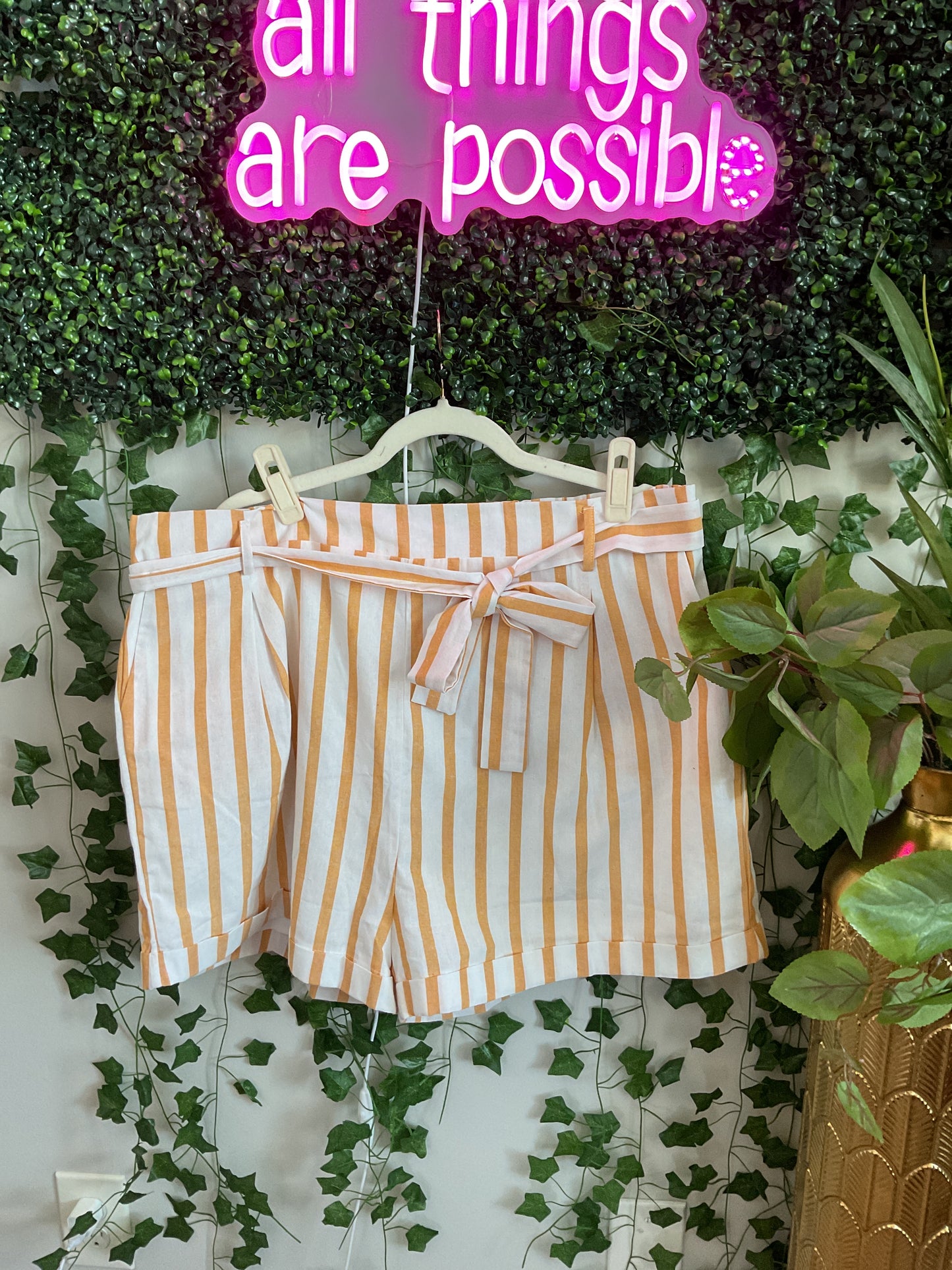 Resort Ready Shorts