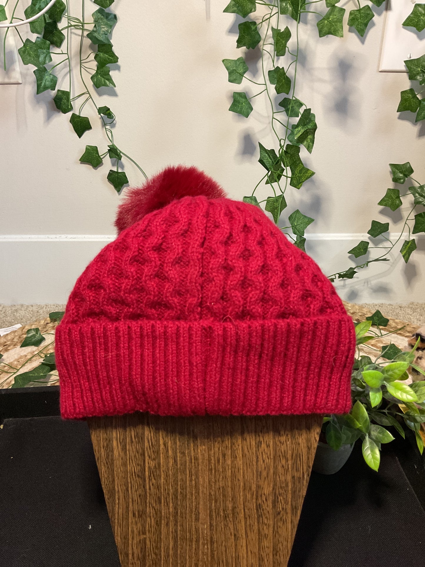 Beanie with Pom Pom
